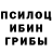 Псилоцибиновые грибы Psilocybe DUPOND DURAND