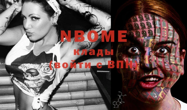 стаф Зерноград