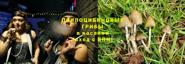 твердый Ельня