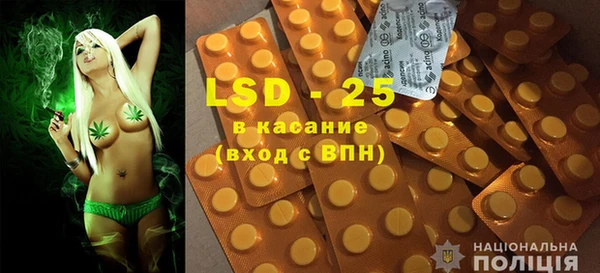 ГАЛЛЮЦИНОГЕННЫЕ ГРИБЫ Инсар