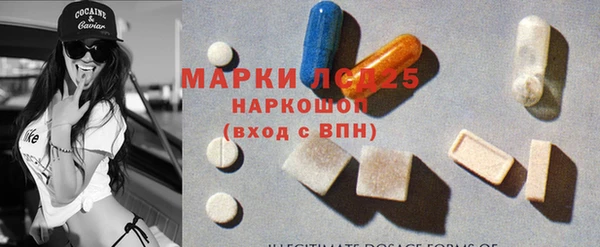 стаф Зерноград