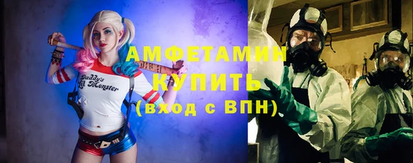 твердый Ельня